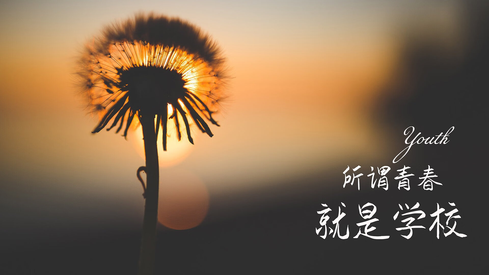 九游网-纽卡斯尔1-0击败布莱顿，伊萨克头球制胜，纽卡斯尔 球员