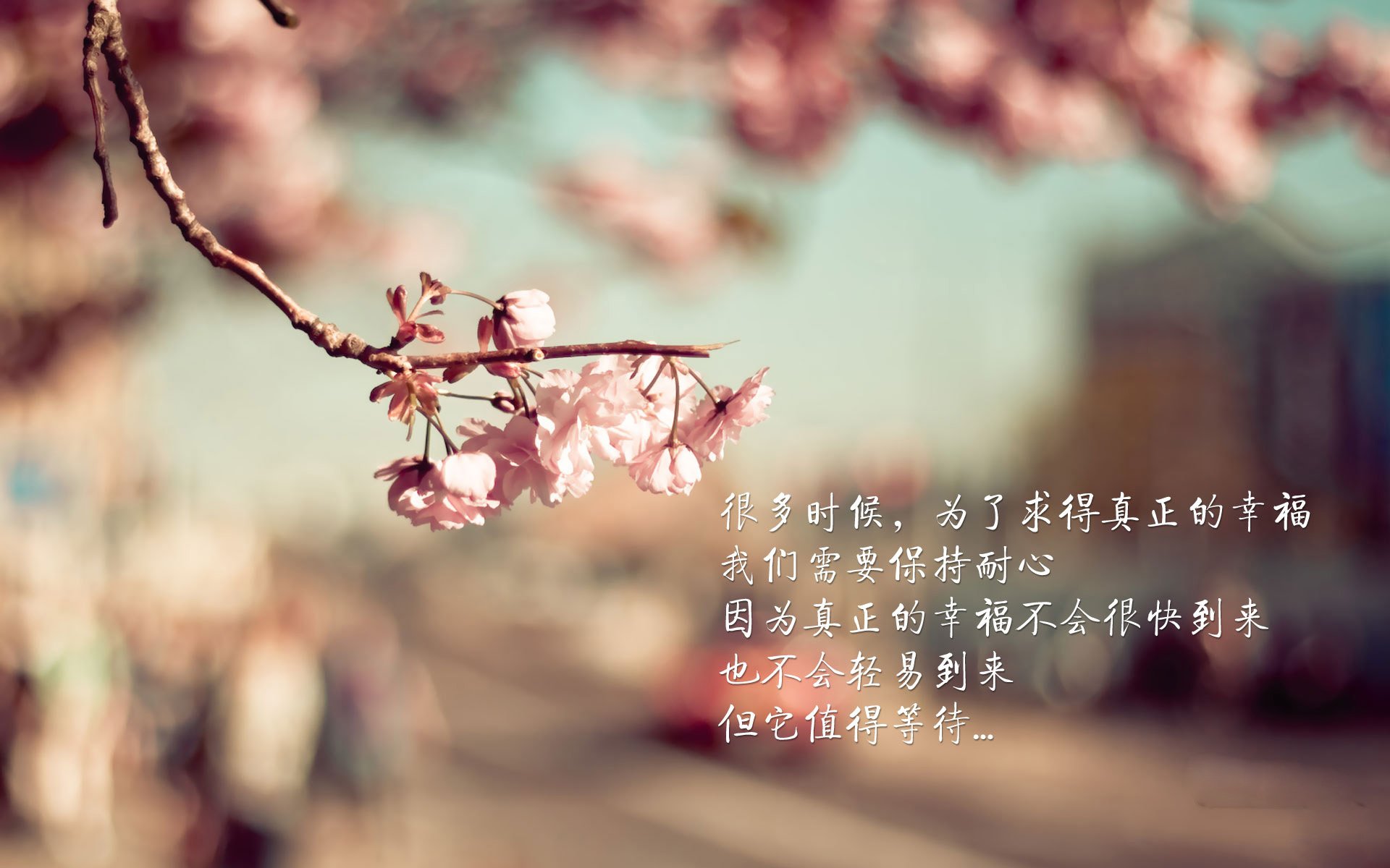 九游娱乐(jiuyou)官网-首尔FC斗志昂扬，决意夺取胜利，首尔fc近期战绩