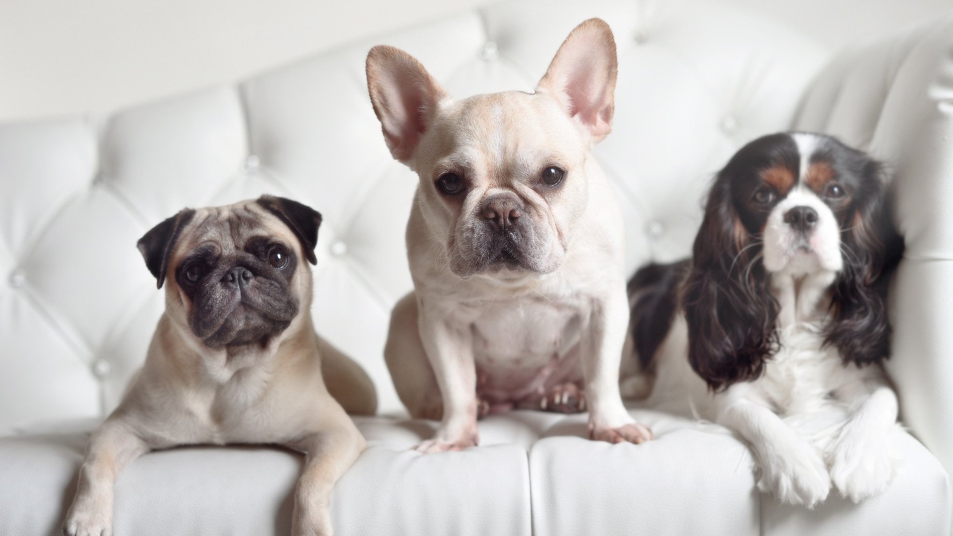 九游网页版官网入口-体育新闻中心拓展“一带一路”体育传播渠道