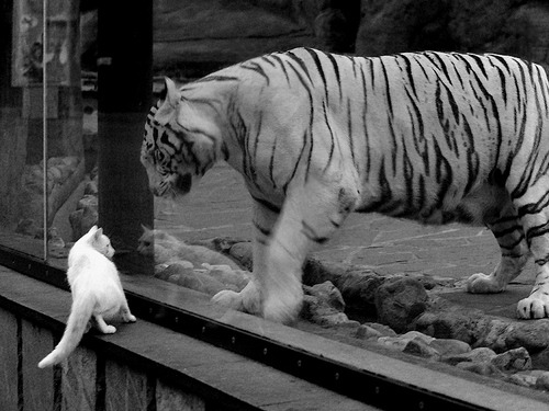 详细阅读:九游9游-战队队员生日庆祝活动展现团队温情,战队队员生日庆祝活动展现团队温情的句子 九游9游-战队队员生日庆祝活动展现团队温情,战队队员生日庆祝活动展现团队温情的句子