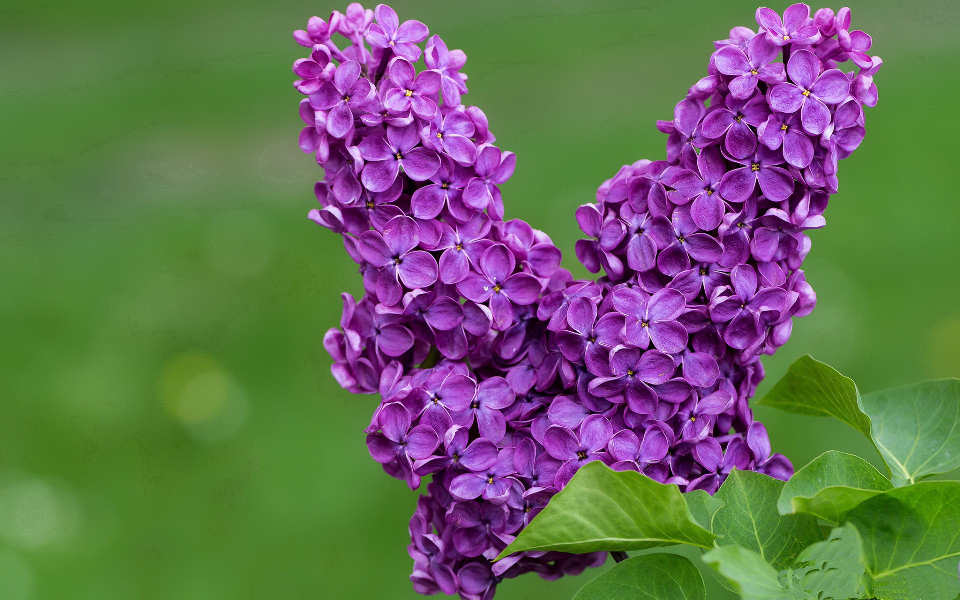 详细阅读:九游游戏中心-球员体能与体格仍弱于亚洲强队,球员身体素质 九游游戏中心-球员体能与体格仍弱于亚洲强队,球员身体素质