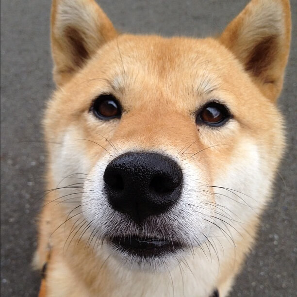 详细阅读:九游-男子100蝶鏖战群雄获佳绩,男子100米蝶泳决赛视频 九游-男子100蝶鏖战群雄获佳绩,男子100米蝶泳决赛视频