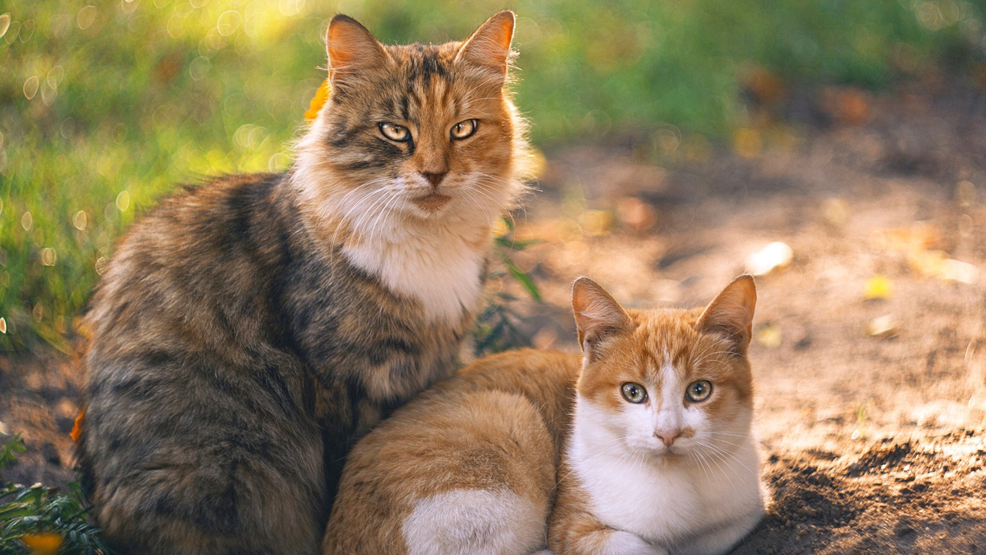 九游网游官网-职业联赛内部调度权责划分模糊