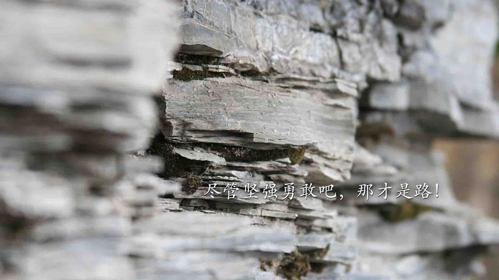 九游sports-世界杯辉煌瞬间：永恒经典，值得纪念！，世界杯经典回顾