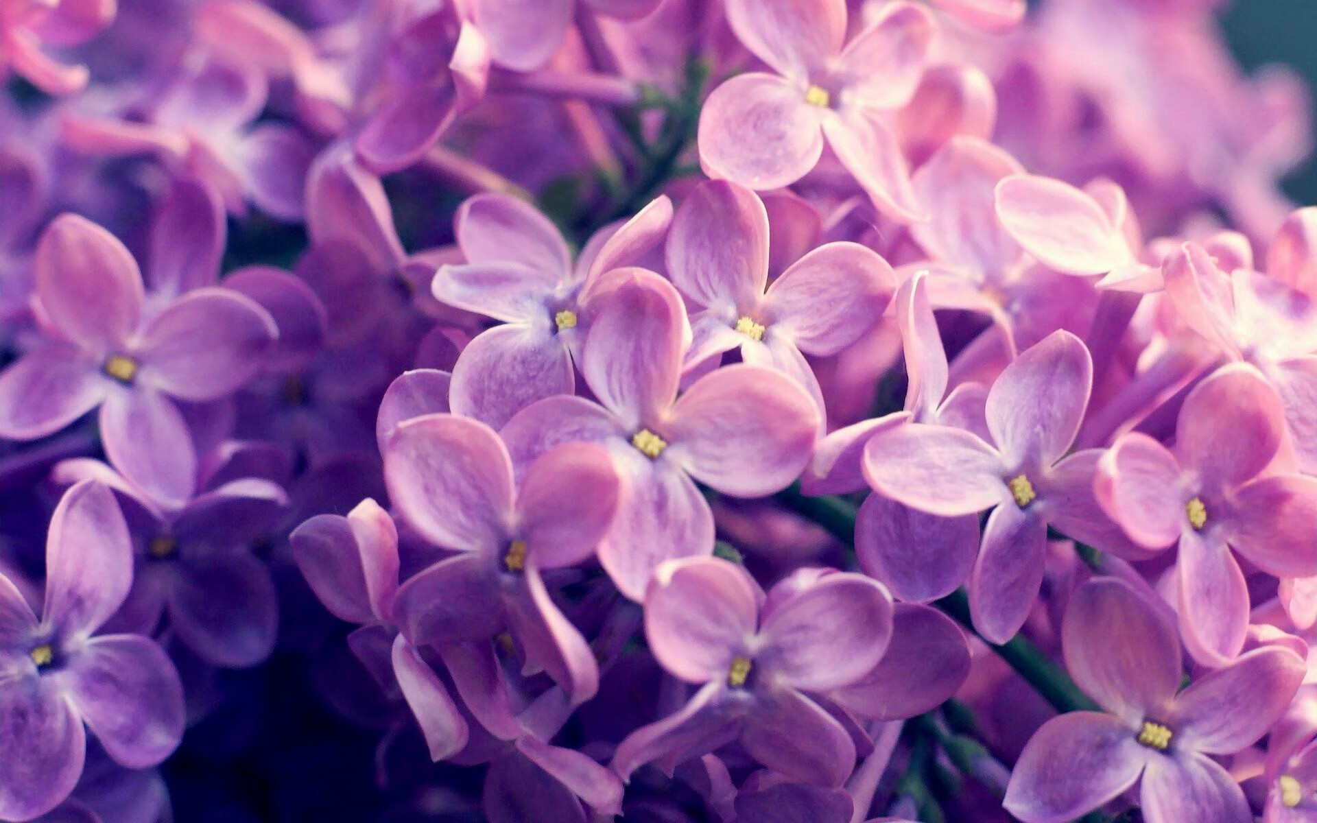 JiuyouAPP下载-哈伦决赛表现引发媒体热议，ag哈伦