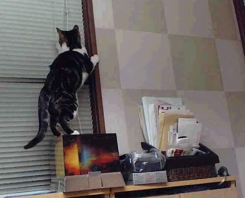 九游娱乐(jiuyou)官网-政府助力橄榄球场馆设施建设，橄榄球场地面积