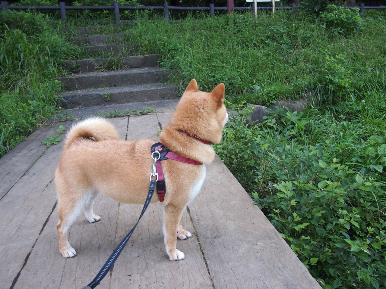 九游娱乐官网 (jiuyou)-男子国家队增加专项体能训练提高耐力和爆发力,男子国家队名单