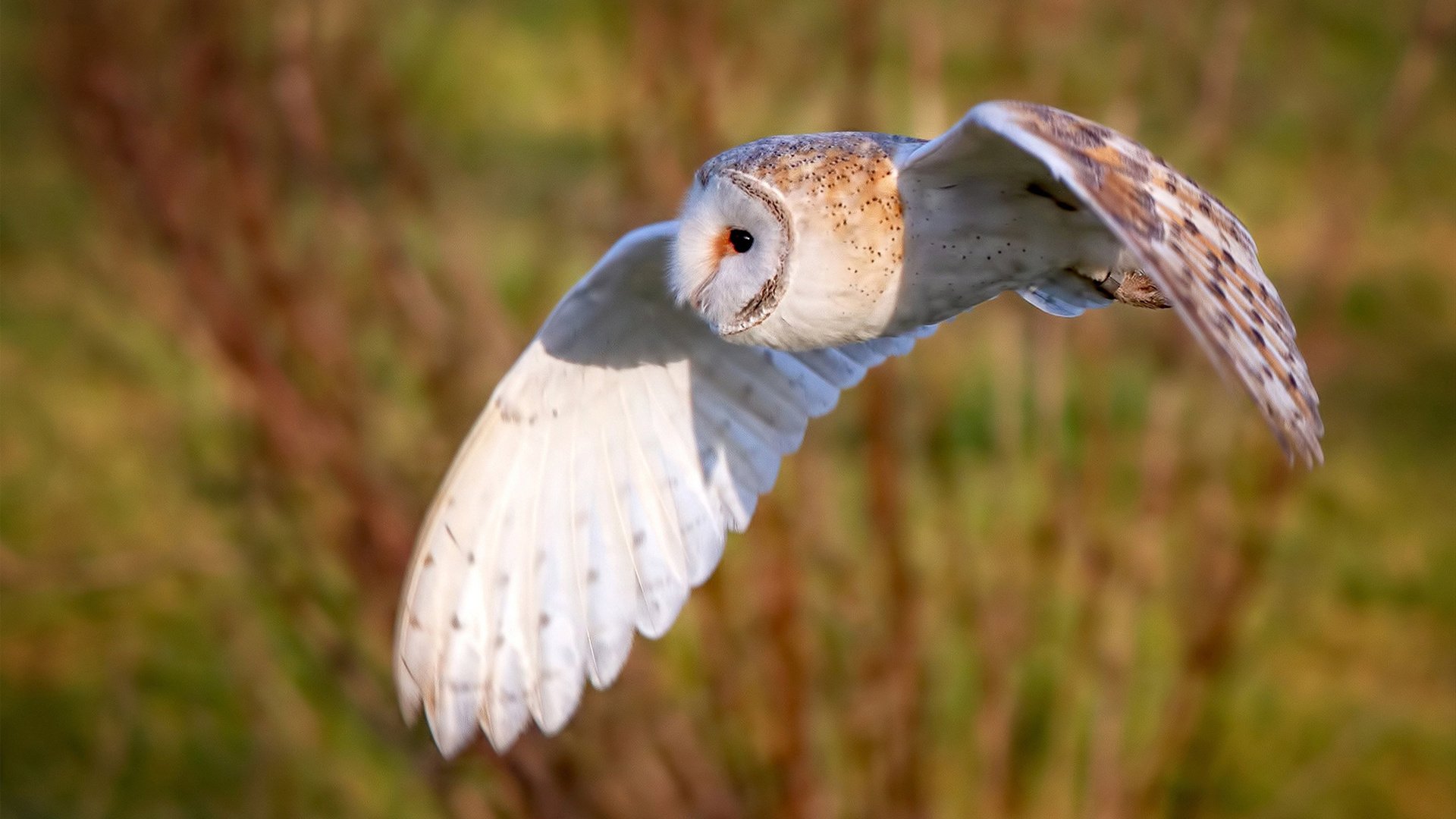 九游APP官网-网球教练实训基地落成并对外开放，网球培训基地