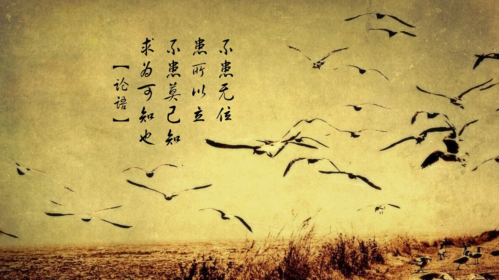 九游游戏中心官网-英超最后一刻：天王神奇远射成经典，英超球王